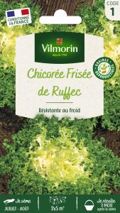 Chicorée Frisée de Ruffec